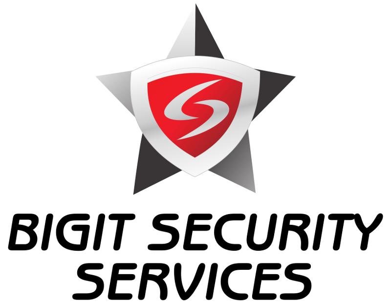 Bigit Logo PDF